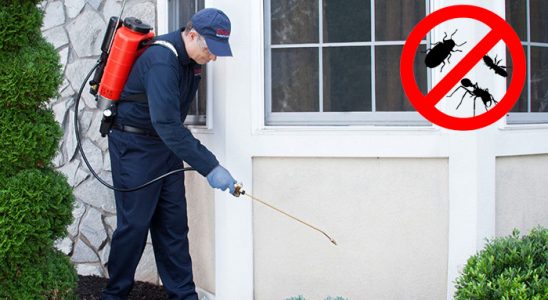 Horasan Haşere İlaçlama böcek ilaçlama ve haşere kontrolü — ilaclama-tr.com